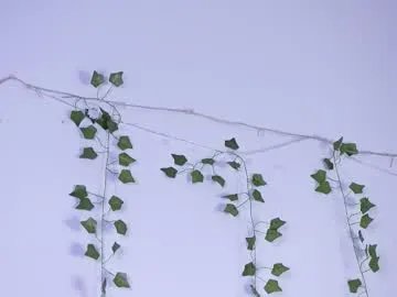 lyly_loveyou on Chaturbate 