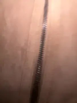 FroggyAnna on StripChat